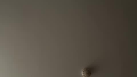 bithereum_sky online show from 11.12.25