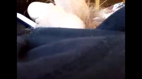 Snapshot of bjloversohard chatting on 01.04.25 bjloversohard online show from 01.04.25