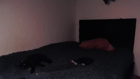 black_firex online show from 10.08.25