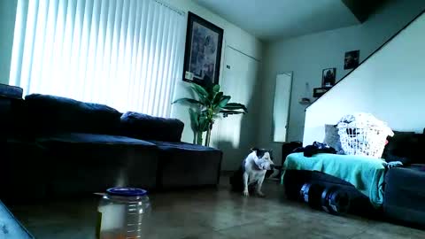 blackriches96 online show from 02.17.25