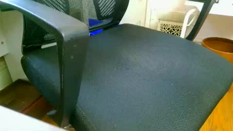 Aqua online show from 11.07.25