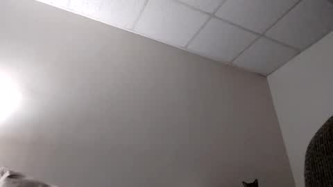 Snapshot of blahblam420 chatting on 02.05.25 blahblam420 online show from 02.05.25