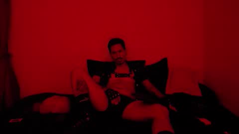 David online show from 01.11.26