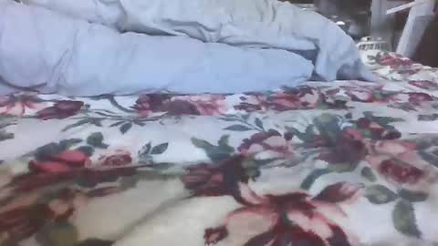 blame1269 online show from 10.27.25