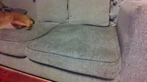 Snapshot of blaw_1321 chatting on 09.29.25 blaw_1321 online show from 09.29.25