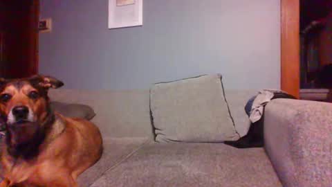 Snapshot of blaw_1321 chatting on 10.16.25 blaw_1321 online show from 10.16.25