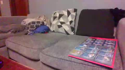 blaw_1321 online show from 02.27.26