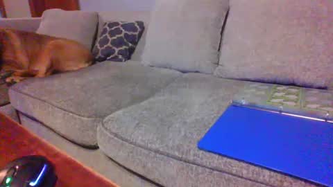 Snapshot of blaw_1321 chatting on 06.21.26 blaw_1321 online show from 06.21.26