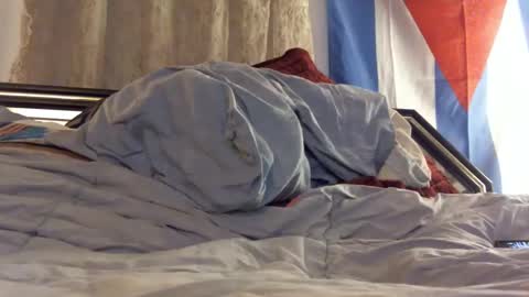 FreshCut online show from 02.11.25