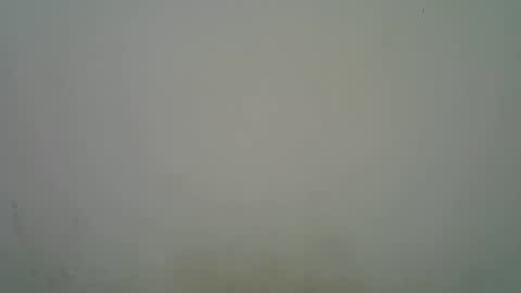 Snapshot of blesse_mixed chatting on 11.07.25 Black brown online show from 11.07.25