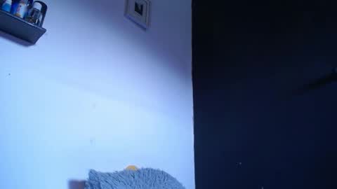 bunbury online show from 09.22.25