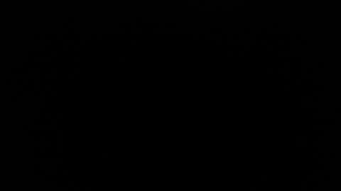 bunbury online show from 10.13.25