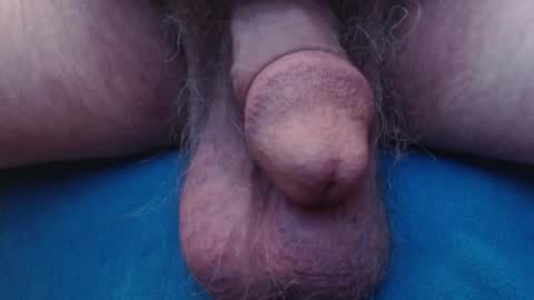 bluebee420 online show from 10.22.25