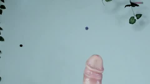 Sophie  online show from 04.12.26