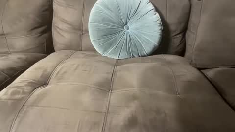 bluegreenish online show from 10.27.25