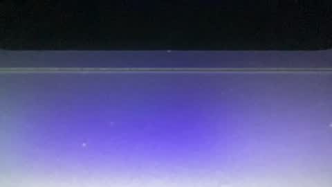 Snapshot of bluuuuuuub chatting on 12.29.24 bluuuuuuub online show from 12.29.24