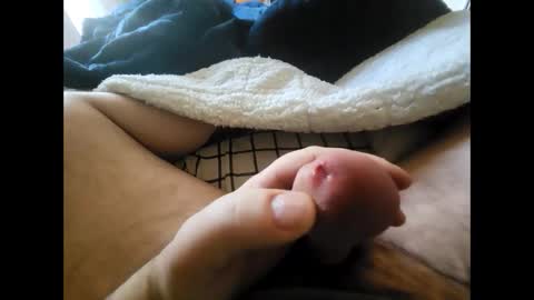 Snapshot of bmc2061 chatting on 02.26.25 bmc2061 online show from 02.26.25