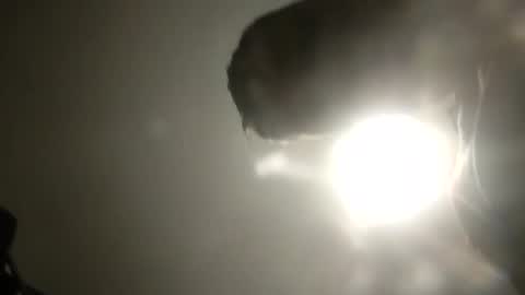 bobby160968 online show from 02.24.25