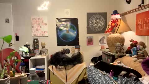 Snapshot of bobbyq2969 chatting on 11.13.25 bobbyq2969 online show from 11.13.25