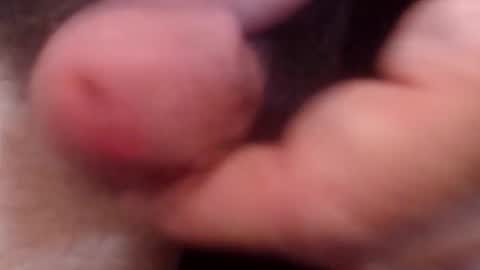 bobswan online show from 10.21.25