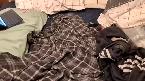 Snapshot of boiwithpussy chatting on 02.16.25 boiwithpussy online show from 02.16.25