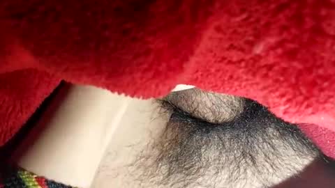 Snapshot of boloski7 chatting on 12.20.25 Boloski7 online show from 12.20.25