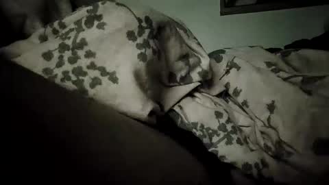 Bomberto online show from 02.19.26