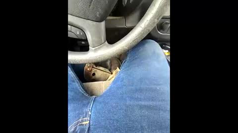 bombinshaman online show from 02.04.26