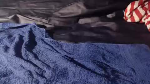 Bomm65 online show from 11.19.25