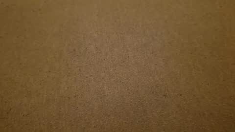 boner19cm online show from 09.21.25