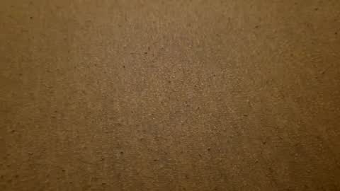 boner19cm online show from 09.22.25