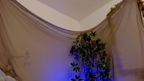   online show from 10.11.25