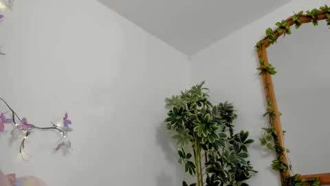   online show from 10.12.25