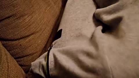 bonny8723 online show from 02.05.25