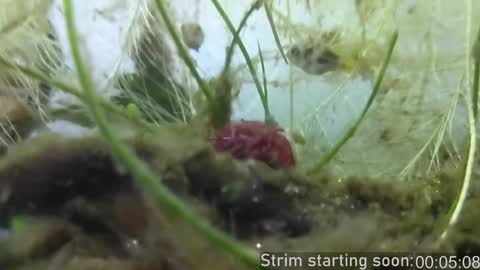 Booker Baxton online show from 12.29.24