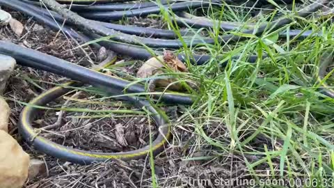 Booker Baxton online show from 03.05.25