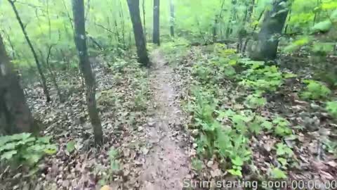 Booker Baxton online show from 11.05.25