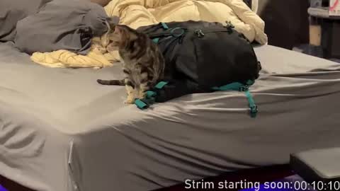 Booker Baxton online show from 02.25.26