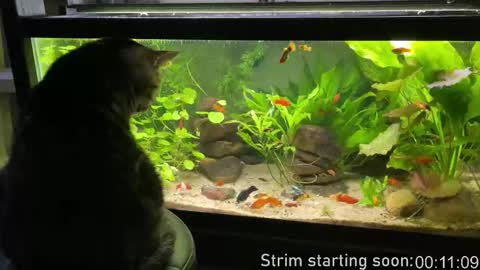 Booker Baxton online show from 03.19.26