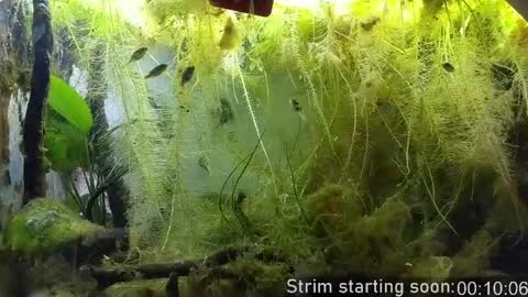 Booker Baxton online show from 03.31.26