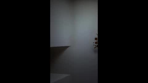 Snapshot of boris96213 chatting on 06.04.26 boris96213 online show from 06.04.26