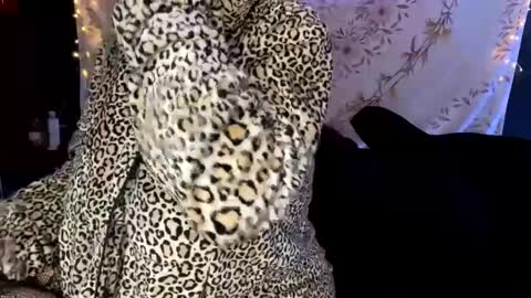 BossMom online show from 12.13.24