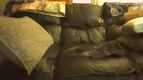 Snapshot of bostonguy1969 chatting on 01.15.25 bostonguy1969 online show from 01.15.25