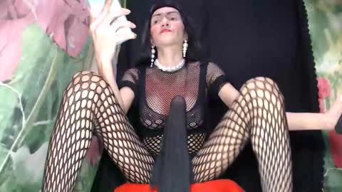 A M A N D A  MONSTERCOCK online show from 10.02.25