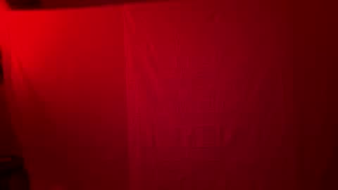 bowbowcow69 online show from 12.12.24