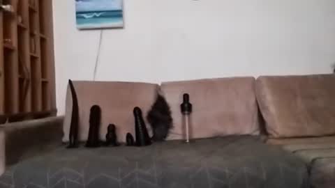 Snapshot of boy7oyy chatting on 01.31.25 Bes7assquirt online show from 01.31.25