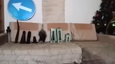 Snapshot of boy7oyy chatting on 02.22.25 Bes7assquirt online show from 02.22.25