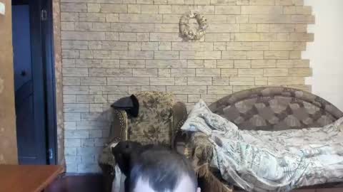 BoyApollon online show from 12.24.24