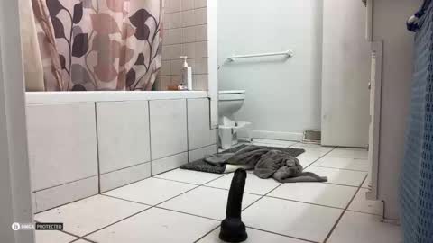 Snapshot of boysetsfire34 chatting on 10.08.25 boysetsfire34 online show from 10.08.25