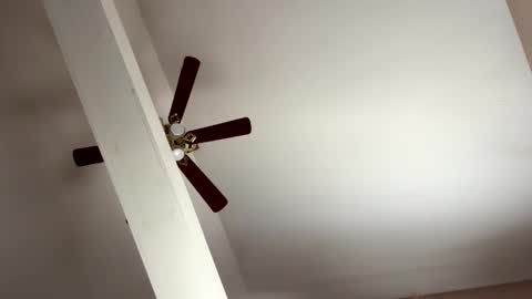 Snapshot of boysetsfire34 chatting on 11.08.25 boysetsfire34 online show from 11.08.25